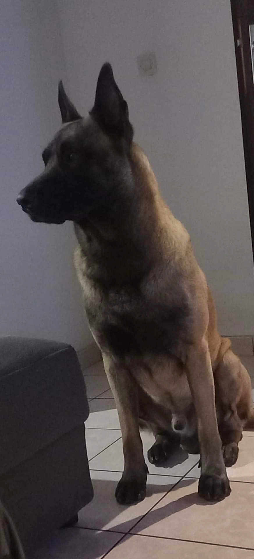 Diego