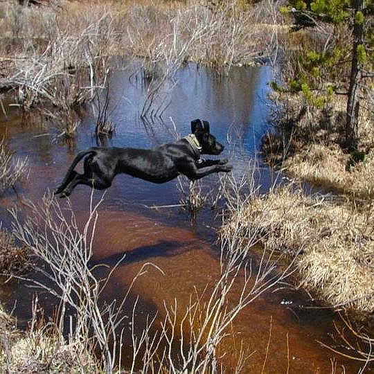 Ivy is registered to the contest to win money with this photo: