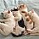 Cuddle Puddle