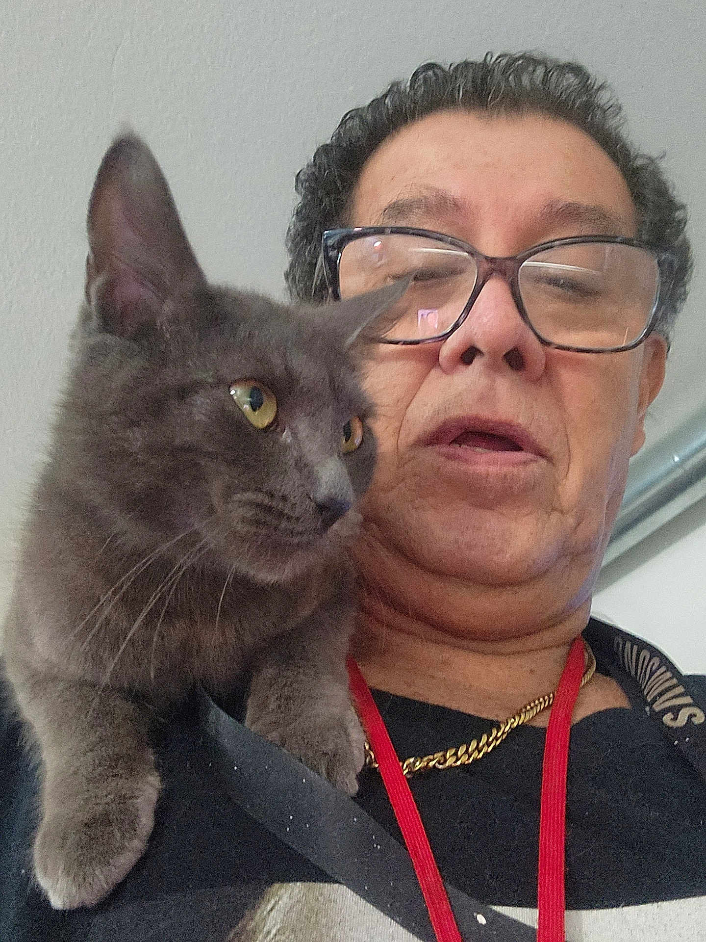 Grey joined the competition — help win amazing prizes! person, cat, glasses, gray_cat, close_up, indoor, shoulder, chain, red_lanyard, curly_hair, facial_expression, pet, feline, portrait, casual_clothing, looking_away, whiskers, fur, human, indoor_lighting
