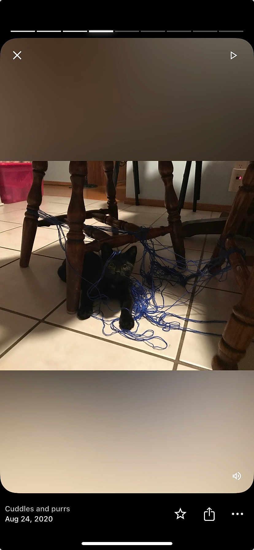 Winston joined the competition — help win amazing prizes! animal, black_cat, cat, curious, domestic, feline, floor, furniture, home, indoor, kitten, legs, mess, pet, playful, string, tiled_floor, toy, wooden_chair, yarn