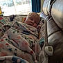 baby, baby_seat, blanket, child, couch, cozy, daylight, floral_pattern, home, indoor, infant, leather, nap, peaceful, portrait, resting, sleeping, soft, window, wrapped