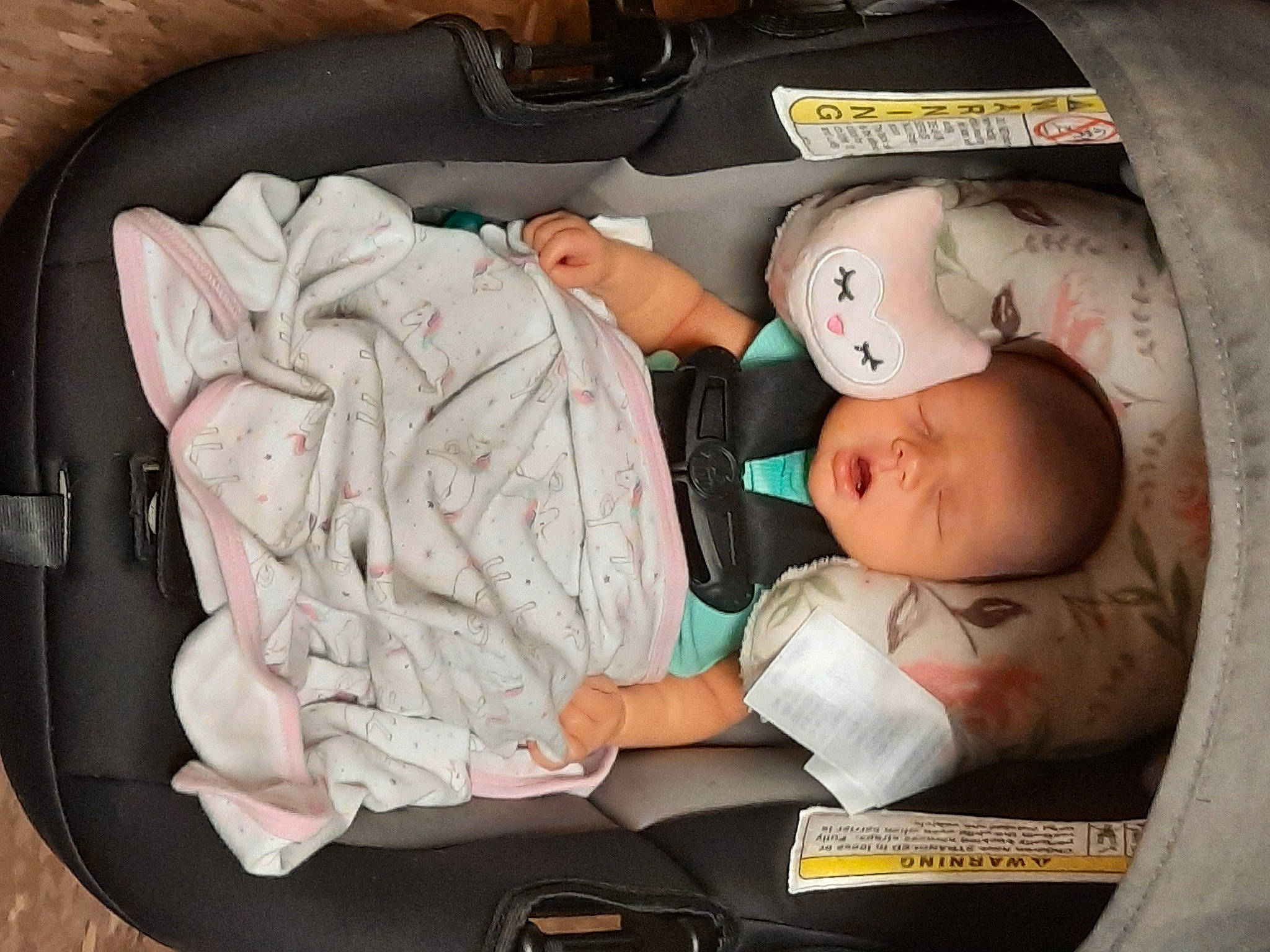 Jupiter is registered to the contest to win money with this photo: baby, baby_carriage, baby_in_car_seat, baby_products, baby_safety, baby_sleeping, baby_toddler_clothing, bag, car_seat, child, comfort, infant_bed, luggage_and_bags, nap, person, product, service, sleep, toddler