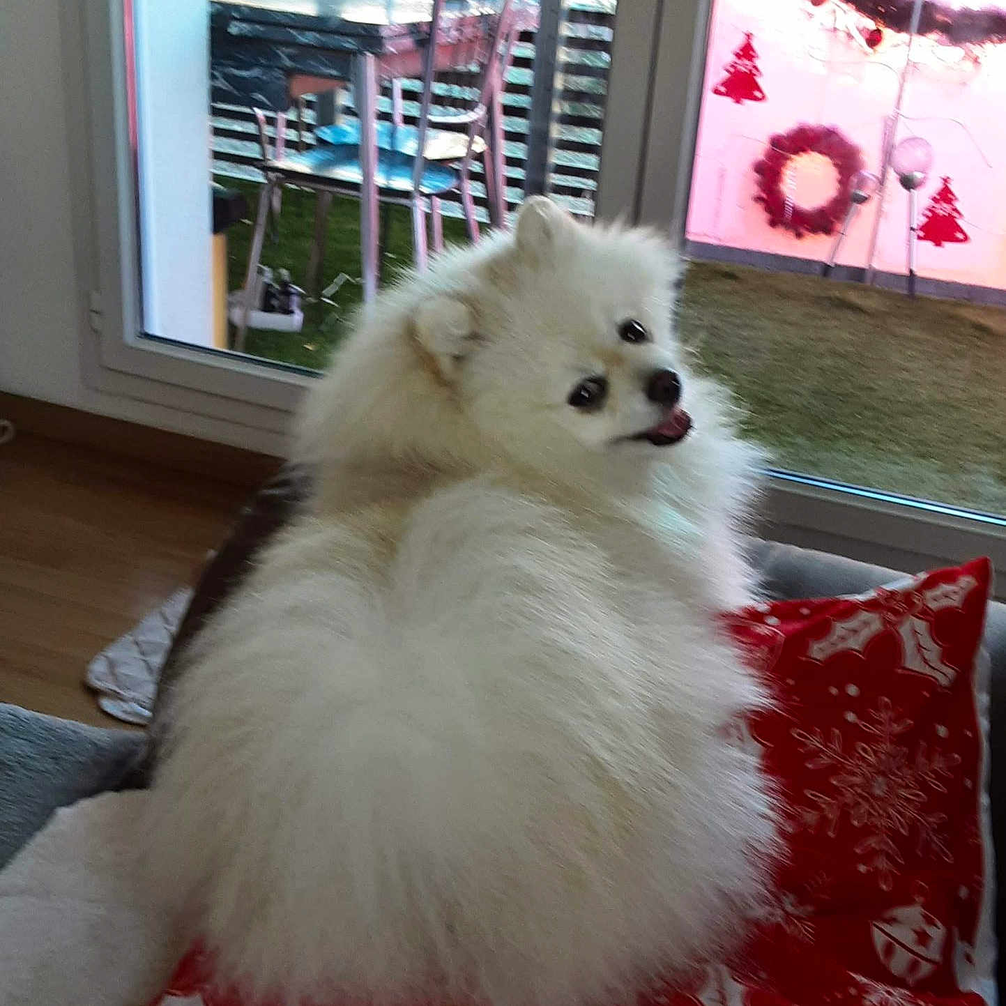 Prince