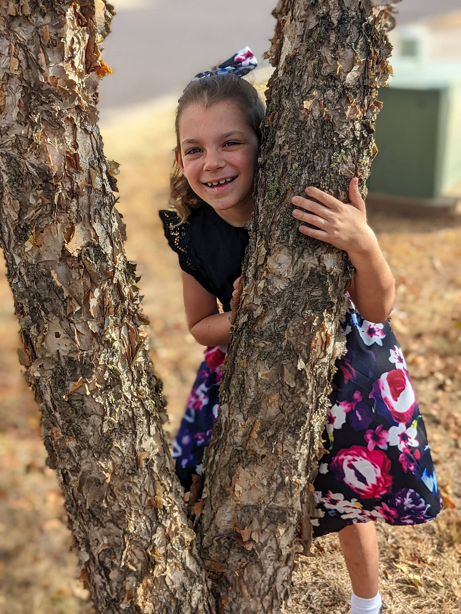 Layla is registered to the contest to win money with this photo: adaptation, branch, eye, fun, grass, hairstyle, happy, human_body, joy, long_hair, nature, people_in_nature, person, plant, sky, smile, tree, trunk, twig, wood