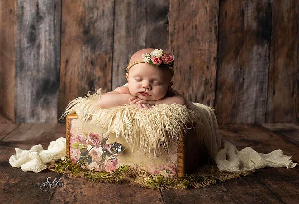 Alayna joined the competition — help win amazing prizes! baby, child, child_model, costume, hair_accessory, headpiece, headwear, person, photograph, photography, plant, portrait, sitting, toddler, tree