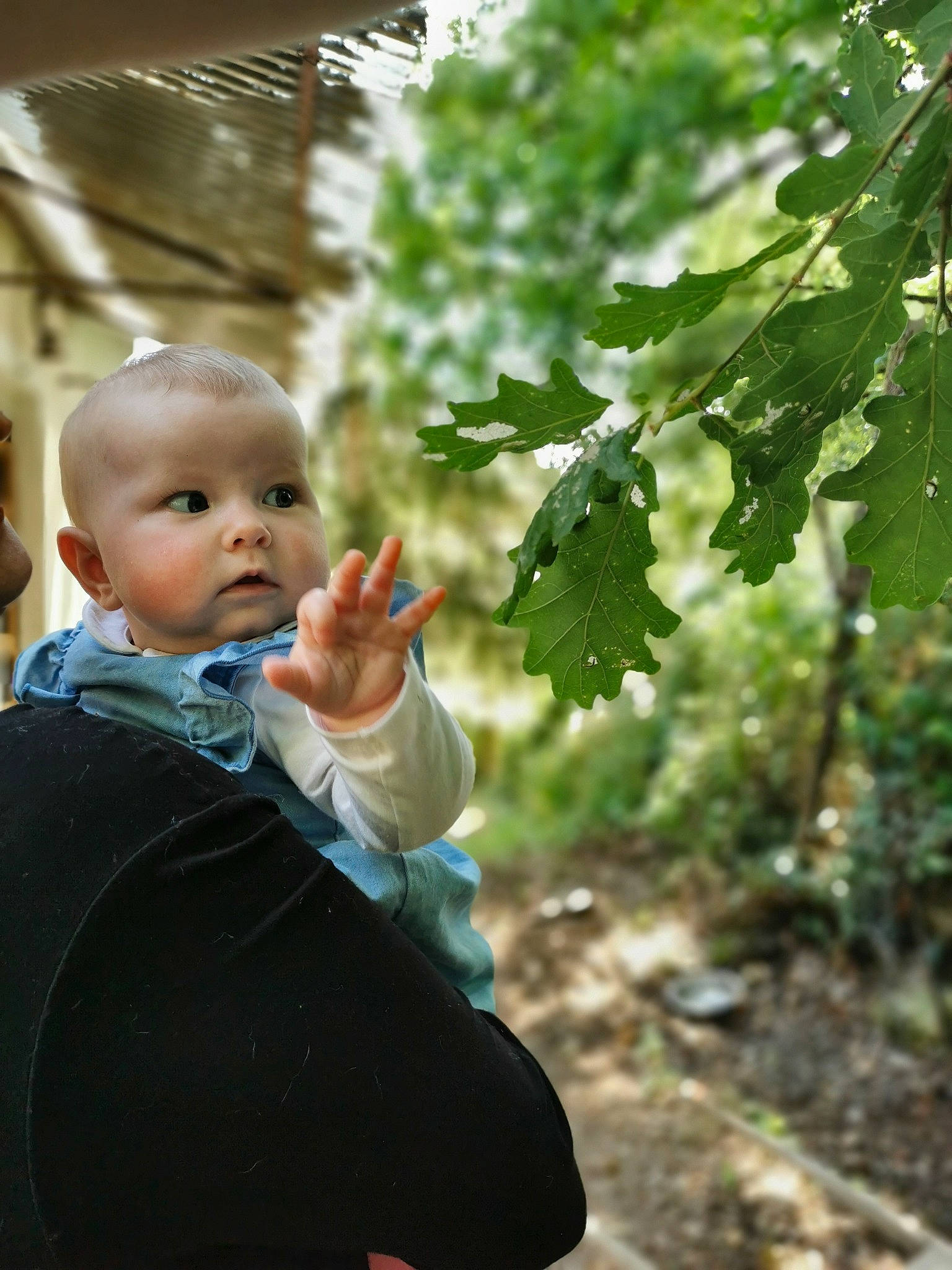 Lana a rejoint le concours — aidez-le/la à gagner de superbes lots ! agriculture, baby, branch, clothing, flowering_plant, fruit, garden, gesture, grapevine_family, grass, happy, jacket, leaf, leisure, people_in_nature, person, plant, toddler, tree, vitis