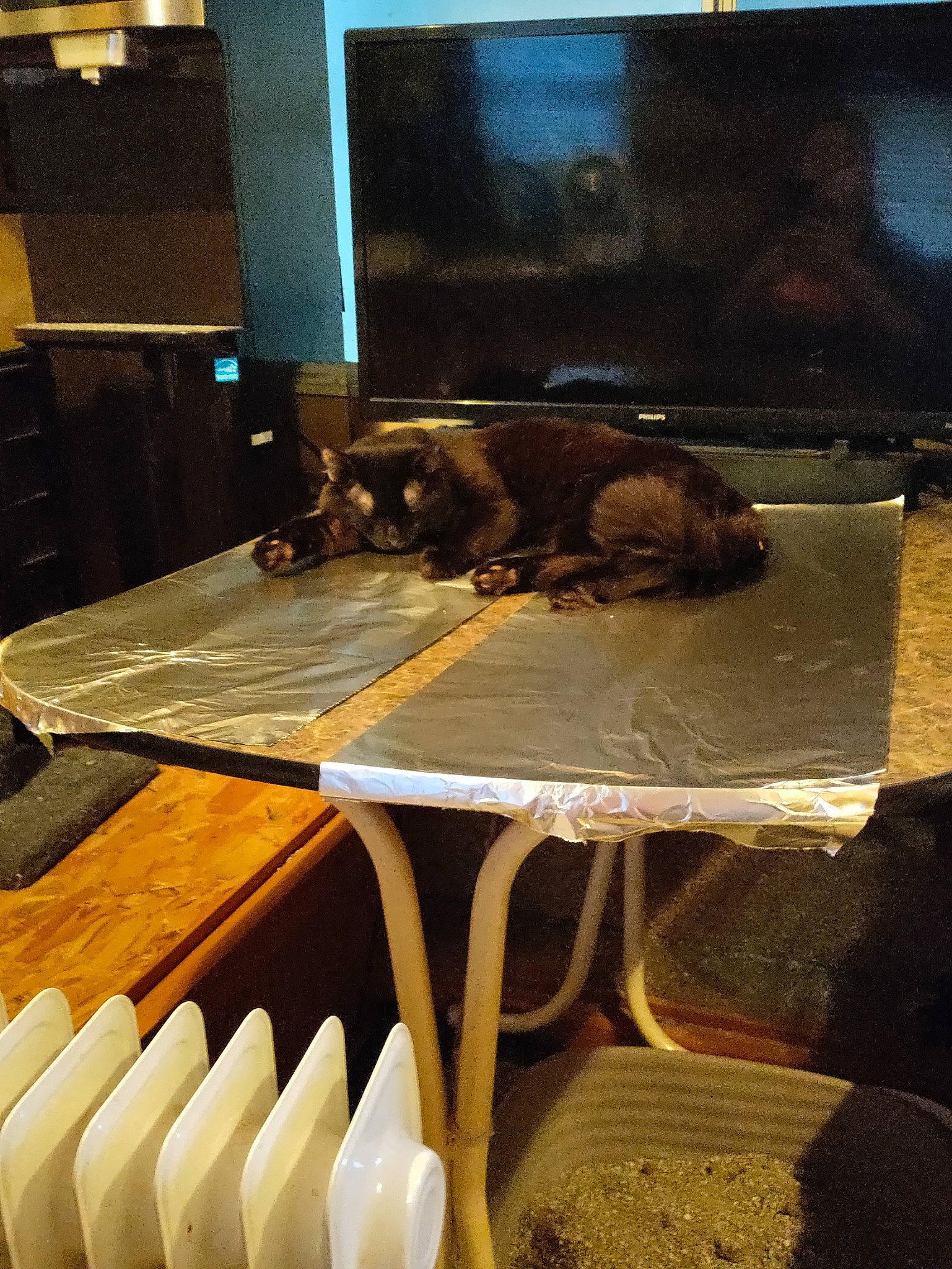 Perseus is registered to the contest to win money with this photo: coffee_table, comfort, floor, flooring, fur, hardwood, linens, metal, outdoor_table, picket_fence, rectangle, room, shadow, table, visual_arts, wood, wood_stain