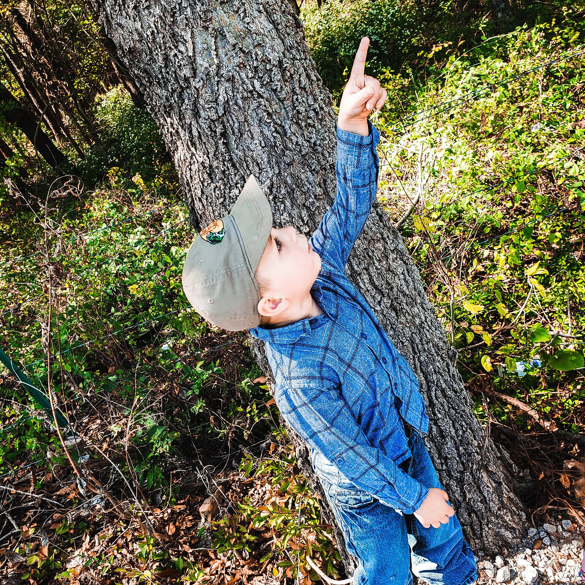Trenton is registered to the contest to win money with this photo: branch, deciduous, denim, electric_blue, forest, grass, hat, headwear, jungle, leaf, leisure, natural_landscape, old_growth_forest, people_in_nature, person, plant, recreation, soil, tree, trunk
