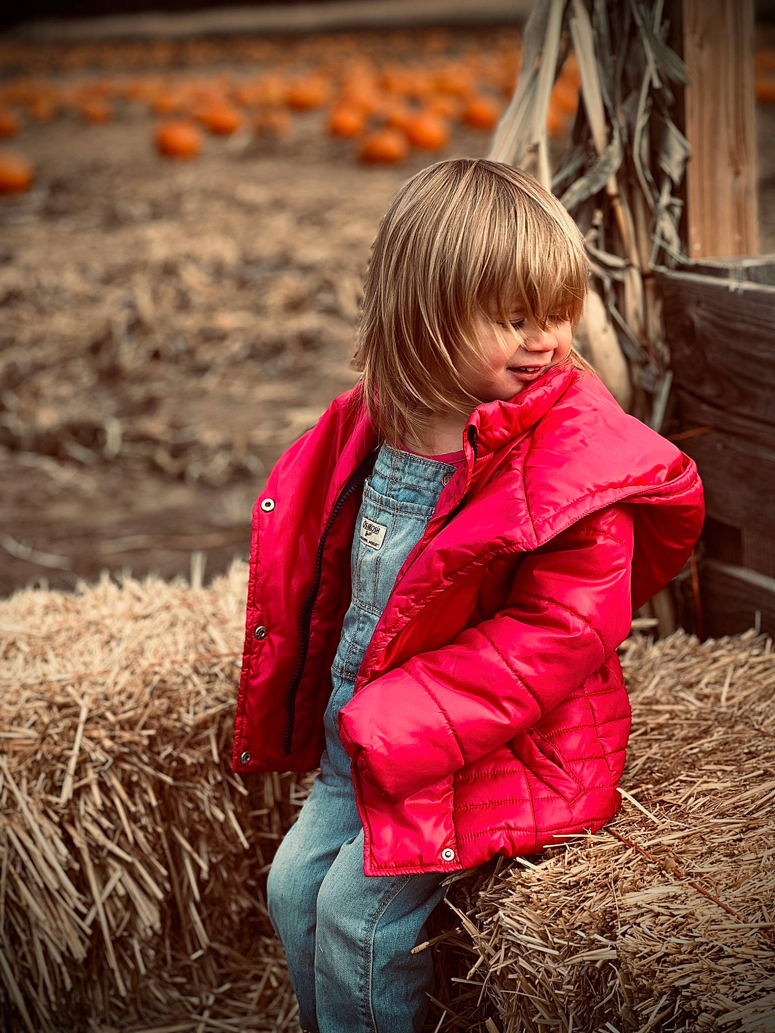 Charity is registered to the contest to win money with this photo: agriculture, beauty, child, event, eye, flash_photography, fun, fur, grass, happy, jacket, leisure, outerwear, people_in_nature, person, sitting, soil, tree, water, winter