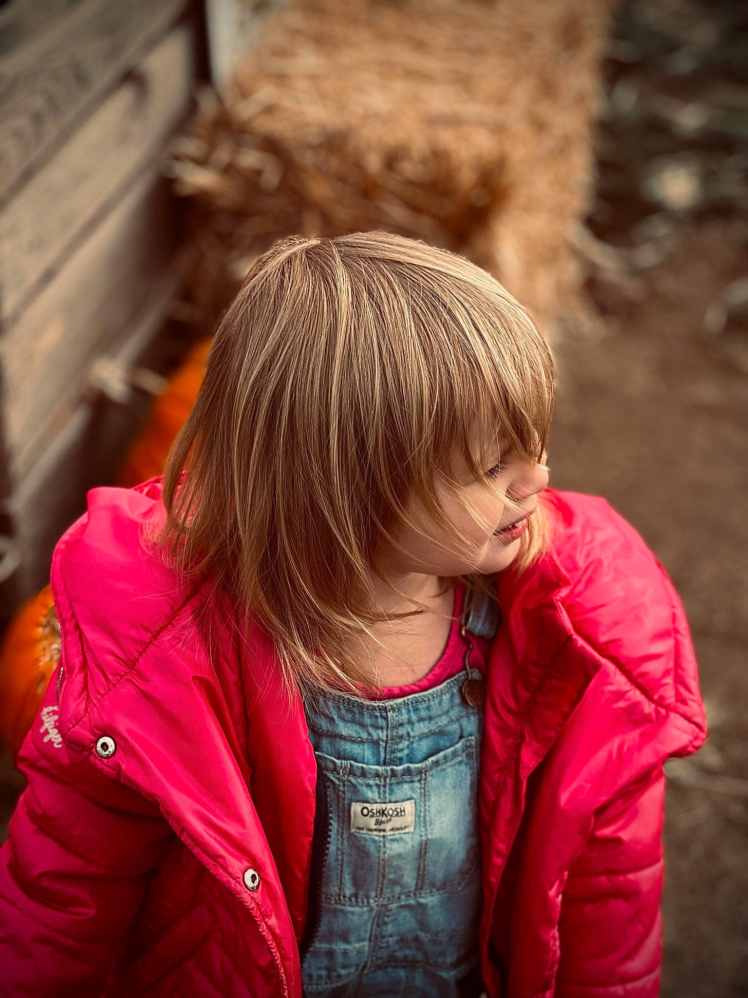 Charity is registered to the contest to win money with this photo: bangs, blond, brown_hair, cool, electric_blue, flash_photography, grass, happy, jacket, leather_jacket, lip, long_hair, magenta, mouth, outerwear, people_in_nature, person, sitting, sleeve, street_fashion
