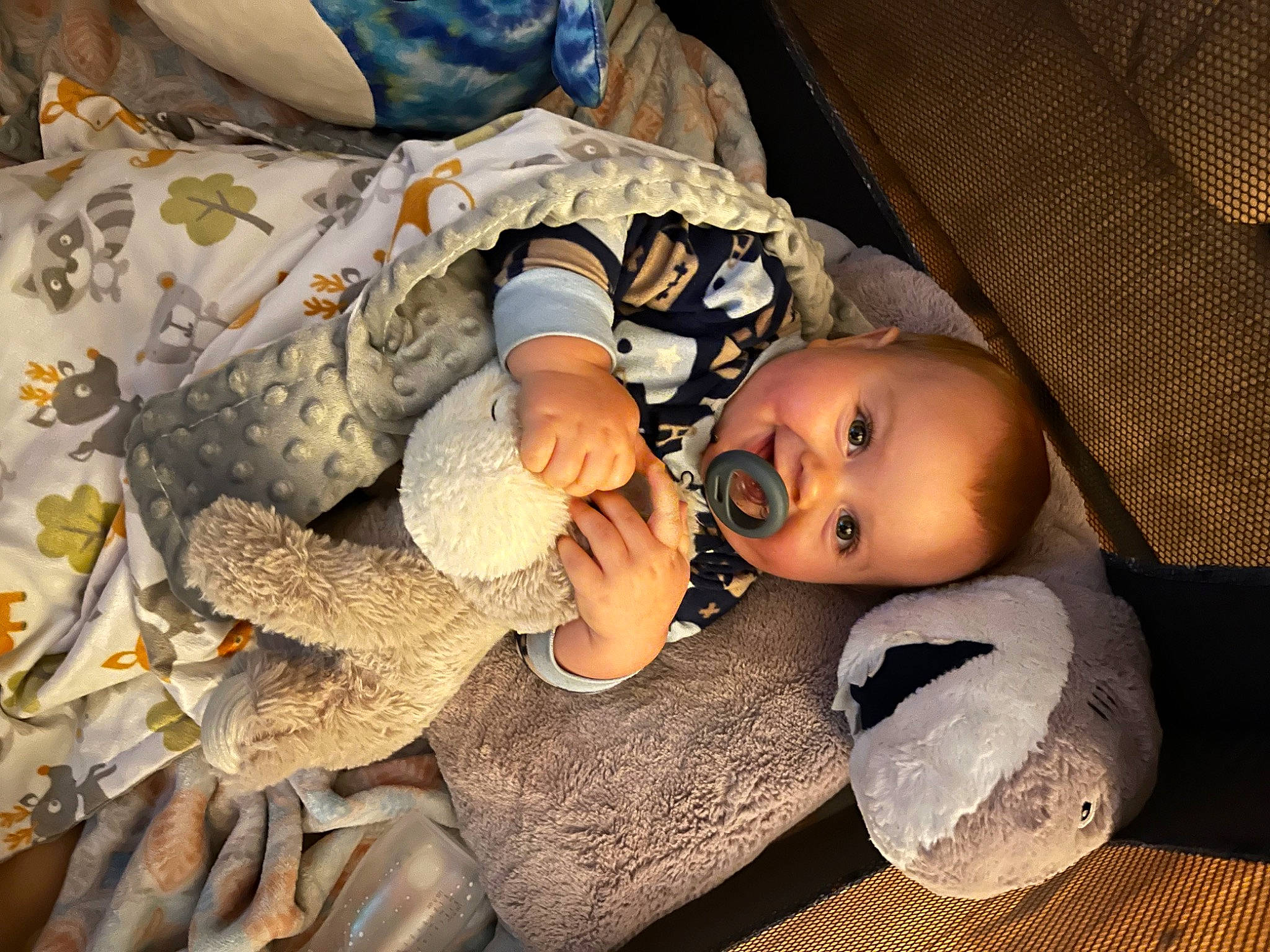 Samuel is registered to the contest to win money with this photo: baby, baby_products, baby_toddler_clothing, child, comfort, doll, eye, fur, happy, hat, head, human_body, joy, leg, linens, person, plant, room, sitting, toddler
