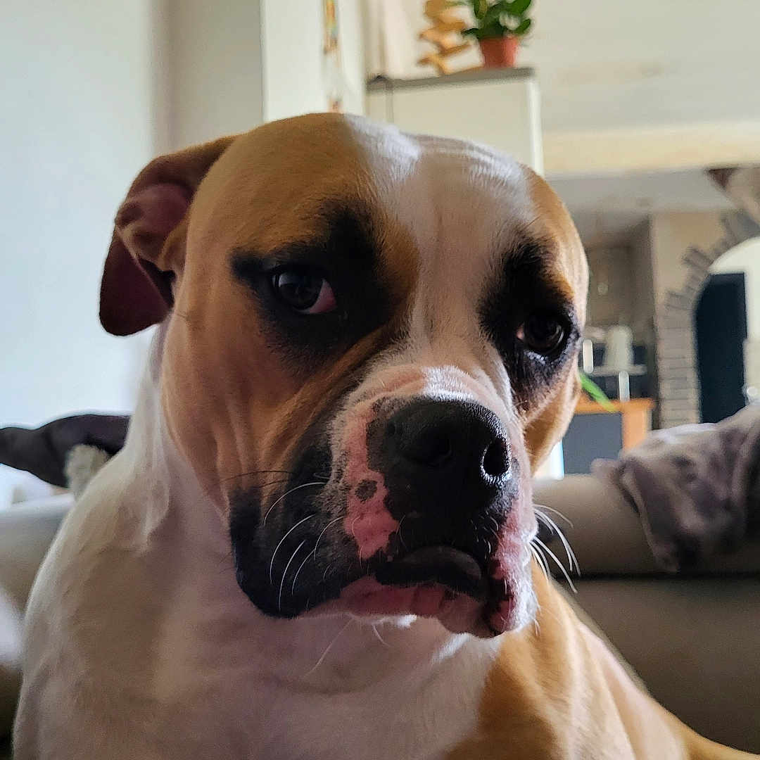 Ruby