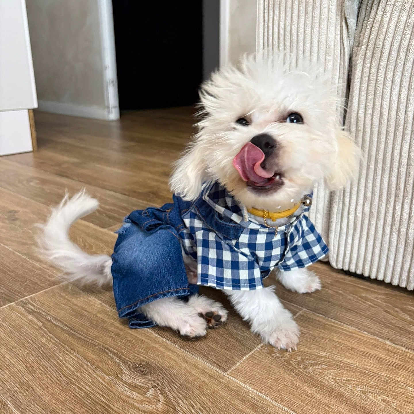 Alvin