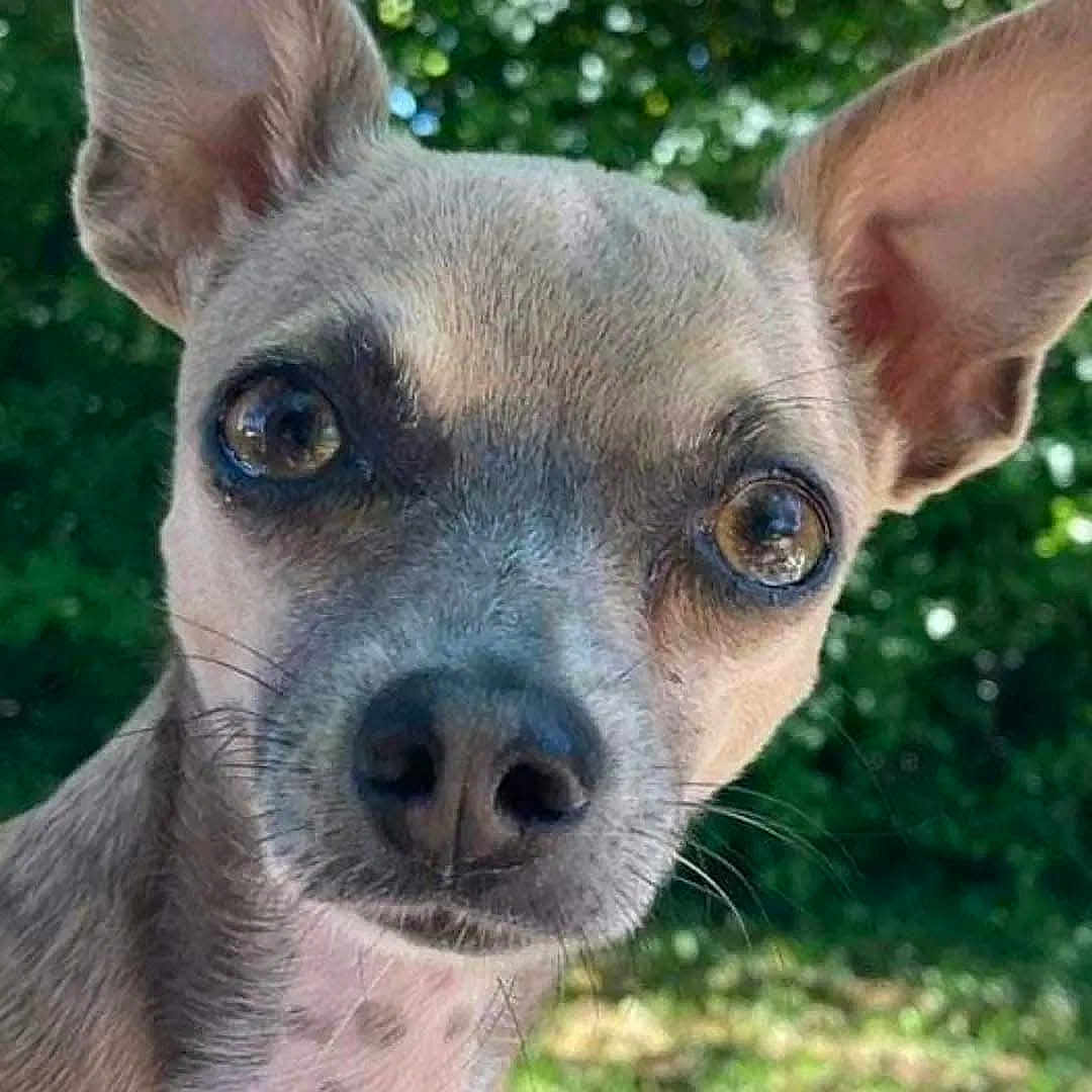 Pablo