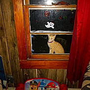 Jacob is registered to the contest to win money with this photo: animal, cat, children_furniture, decorations, flash_reflection, ghost_sticker, halloween_stickers, home, indoor, night, orange_tabby, paw_patrol_chair, pets, pumpkin_sticker, purple_collar, red_curtain, reflection, sitting, window, wooden_wall