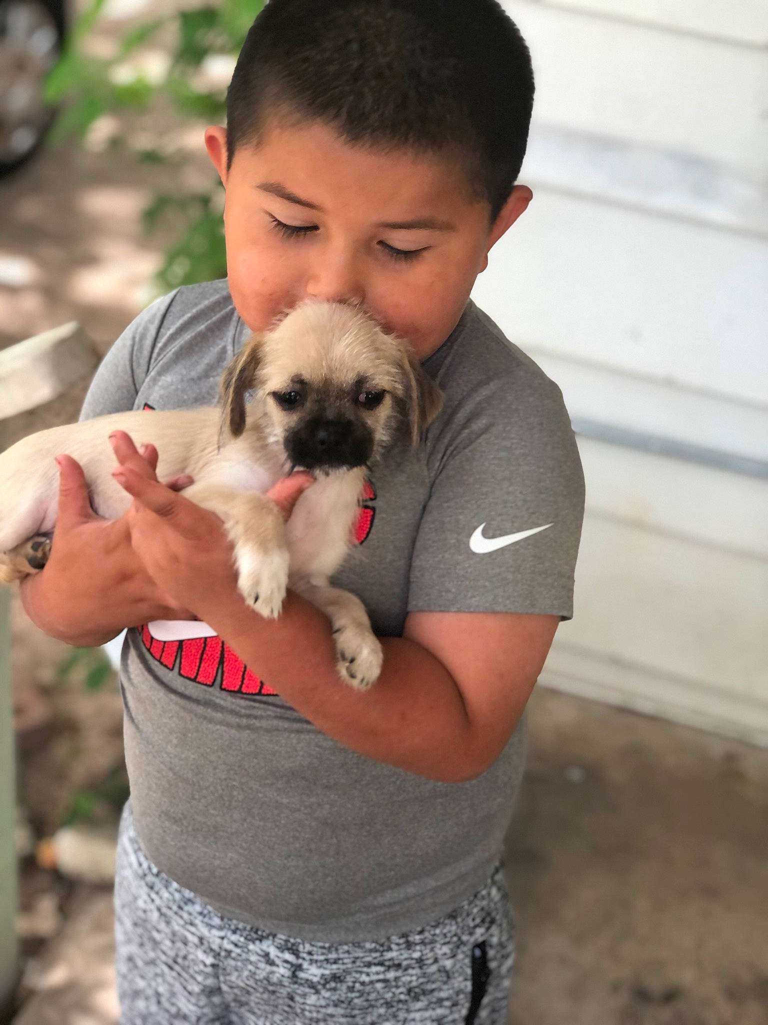 Juan joined the competition — help win amazing prizes! canidae, carnivore, child, clothing, companion_dog, dog, dog_breed, fawn, fur, hand, happy, kiss, non_sporting_group, person, puppy_love, small_terrier, snout, sporting_group, t_shirt, toy_dog