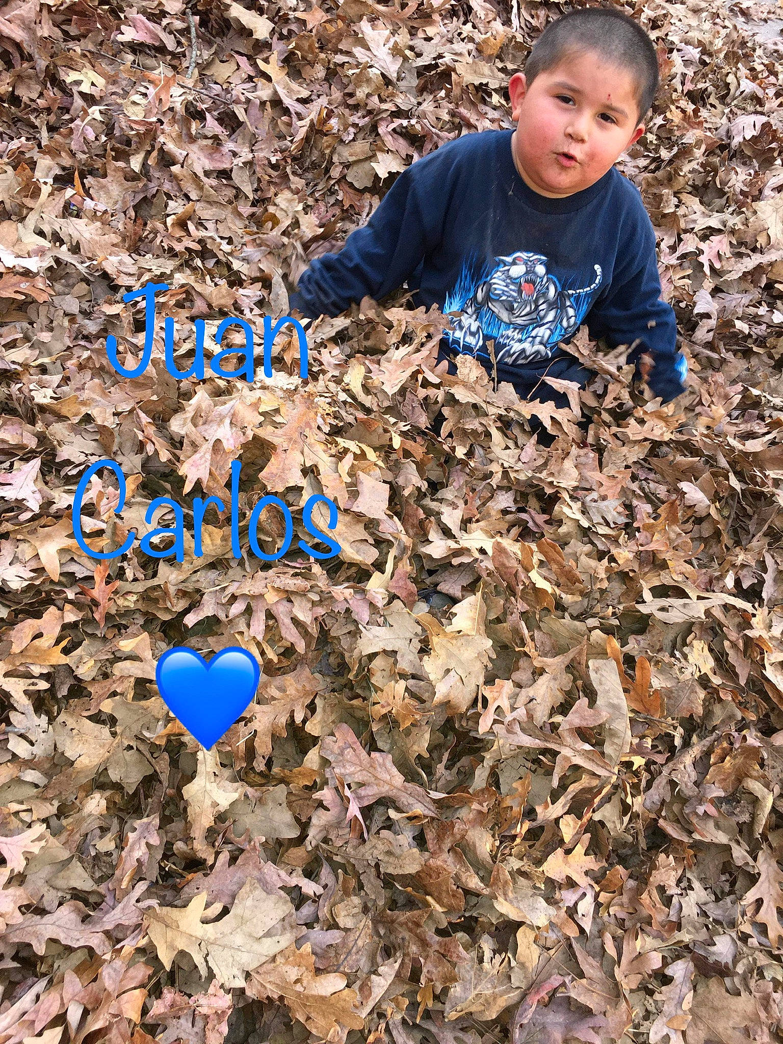 Juan joined the competition — help win amazing prizes! adaptation, child, person, soil