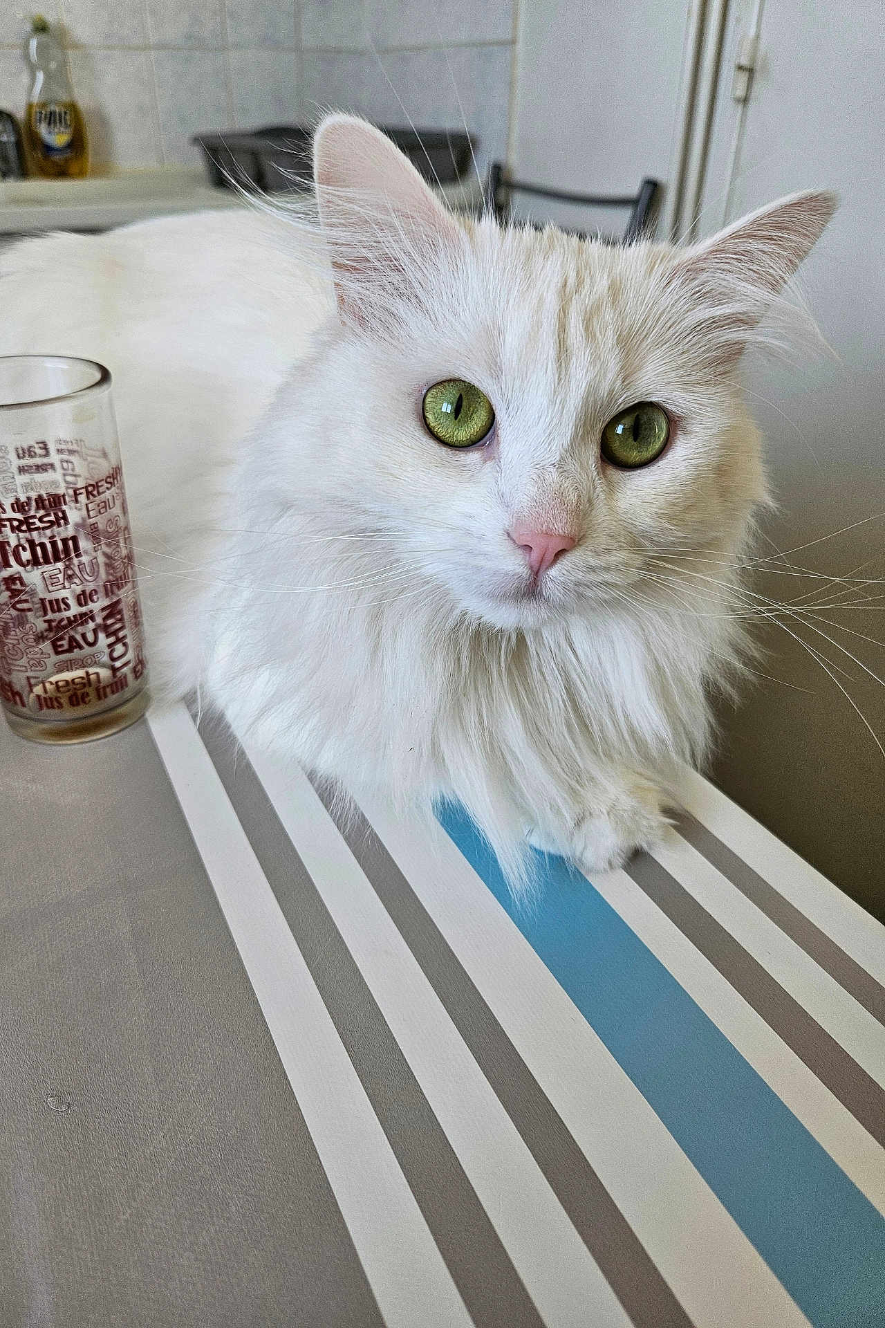 Bibi