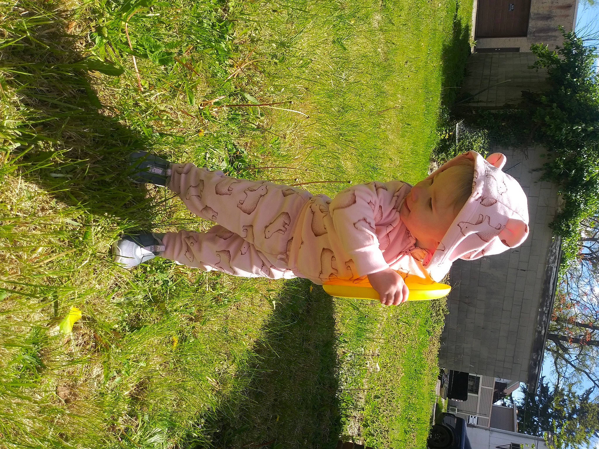 Katara is registered to the contest to win money with this photo: fun, garden, grass, groundcover, happy, lawn, leisure, people_in_nature, person, plant, shadow, shrub, tree, vertebrate, yard