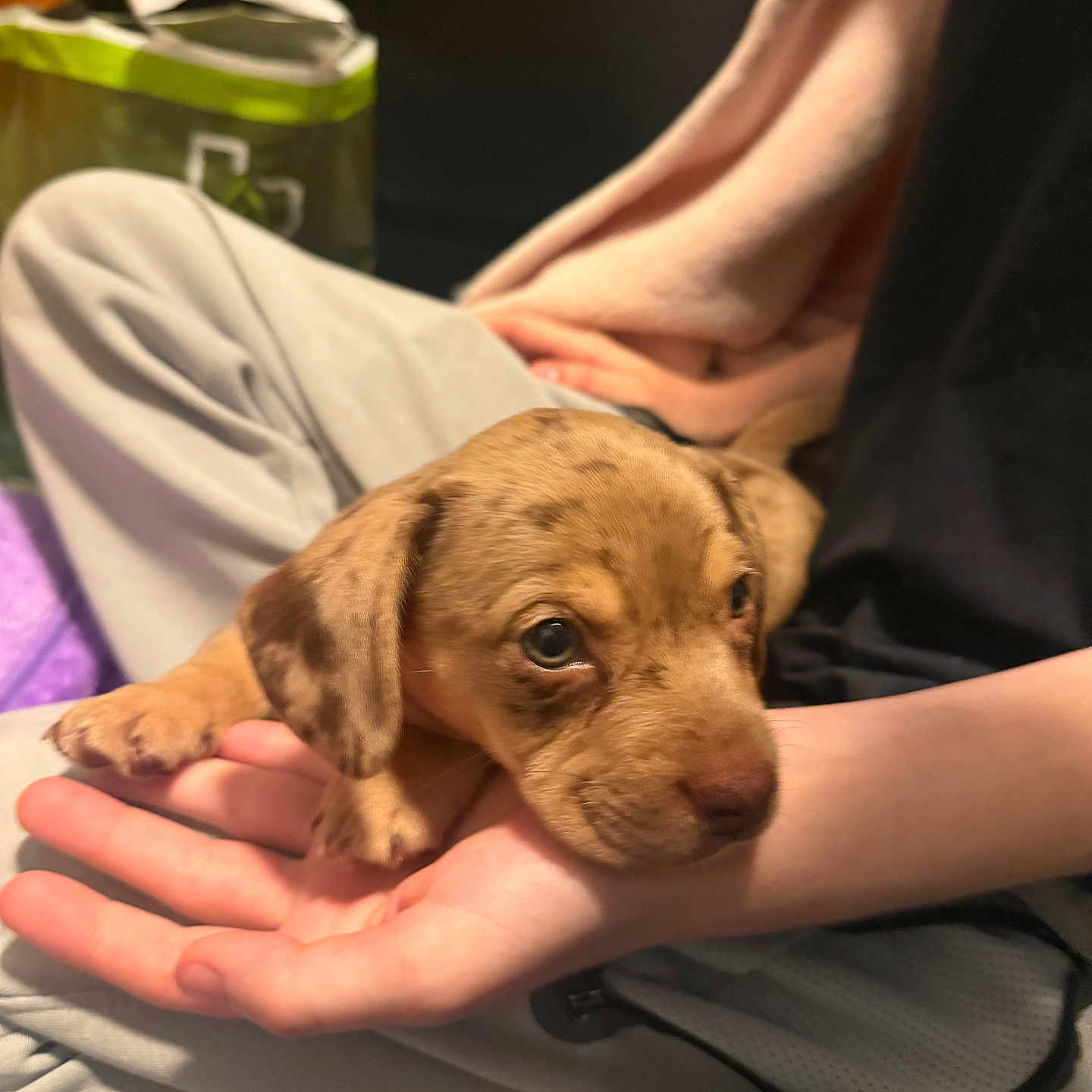 Winnie
