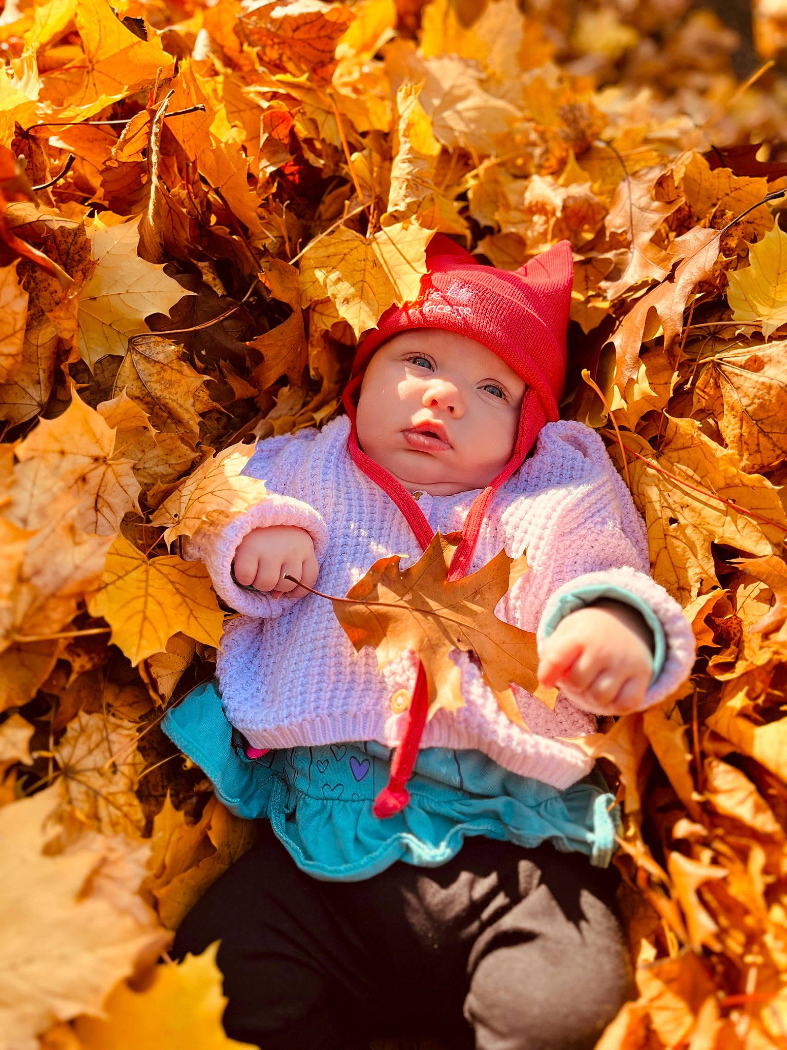 Léa a rejoint le concours — aidez-le/la à gagner de superbes lots ! adaptation, autumn, baby, baby_toddler_clothing, calabaza, child, deciduous, fun, grass, happy, headwear, leaf, leisure, people_in_nature, person, plant, pumpkin, toddler, tree, vegetable