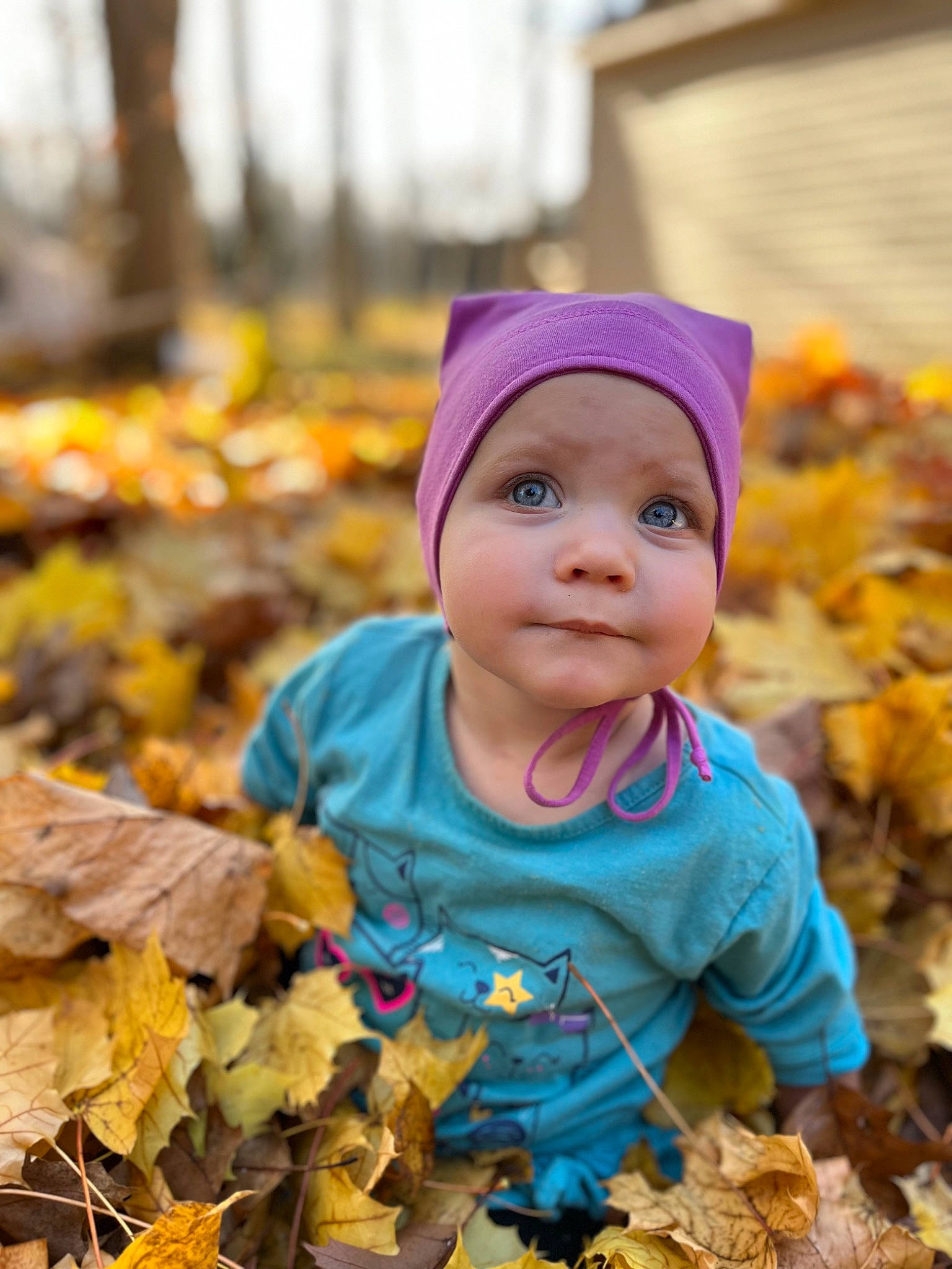 Charlie participe au concours pour gagner de l'argent avec cette photo : autumn, baby, cap, cheek, child, deciduous, eye, fun, grass, happy, headwear, hoodie, leaf, leisure, people_in_nature, person, plant, portrait_photography, soil, toddler