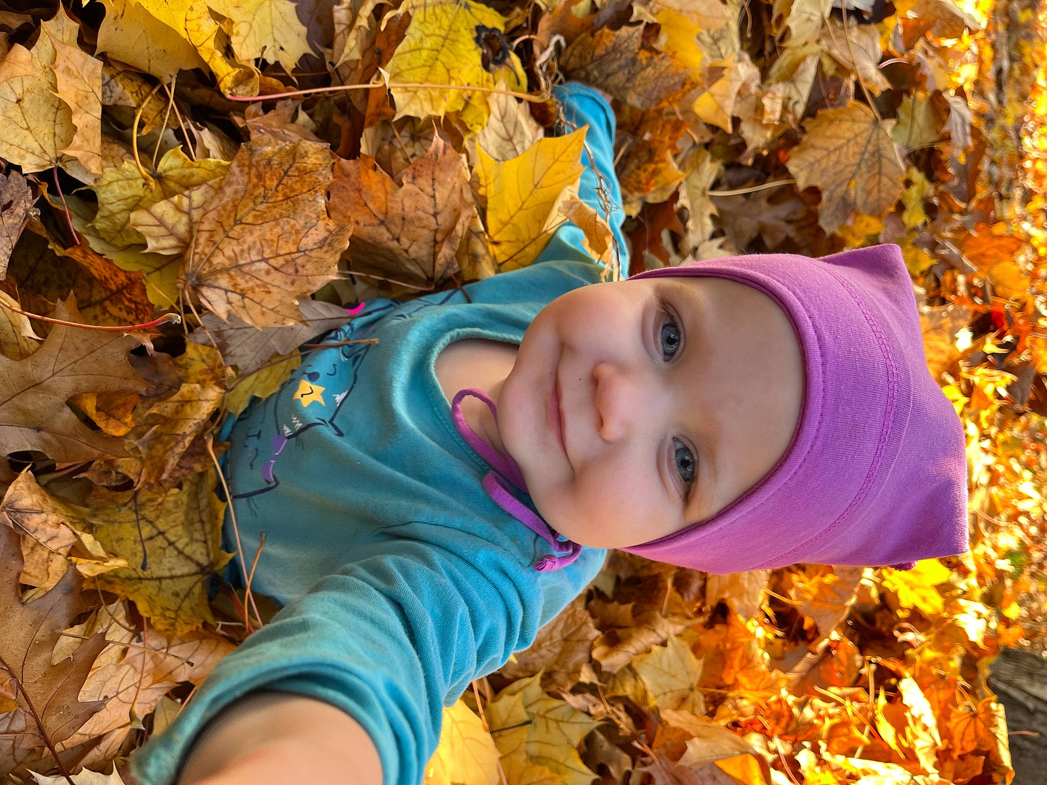 Charlie participe au concours pour gagner de l'argent avec cette photo : autumn, child, deciduous, fun, grass, happy, hat, headgear, headwear, joy, leaf, leisure, people_in_nature, person, plant, portrait_photography, pumpkin, smile, soil, toddler