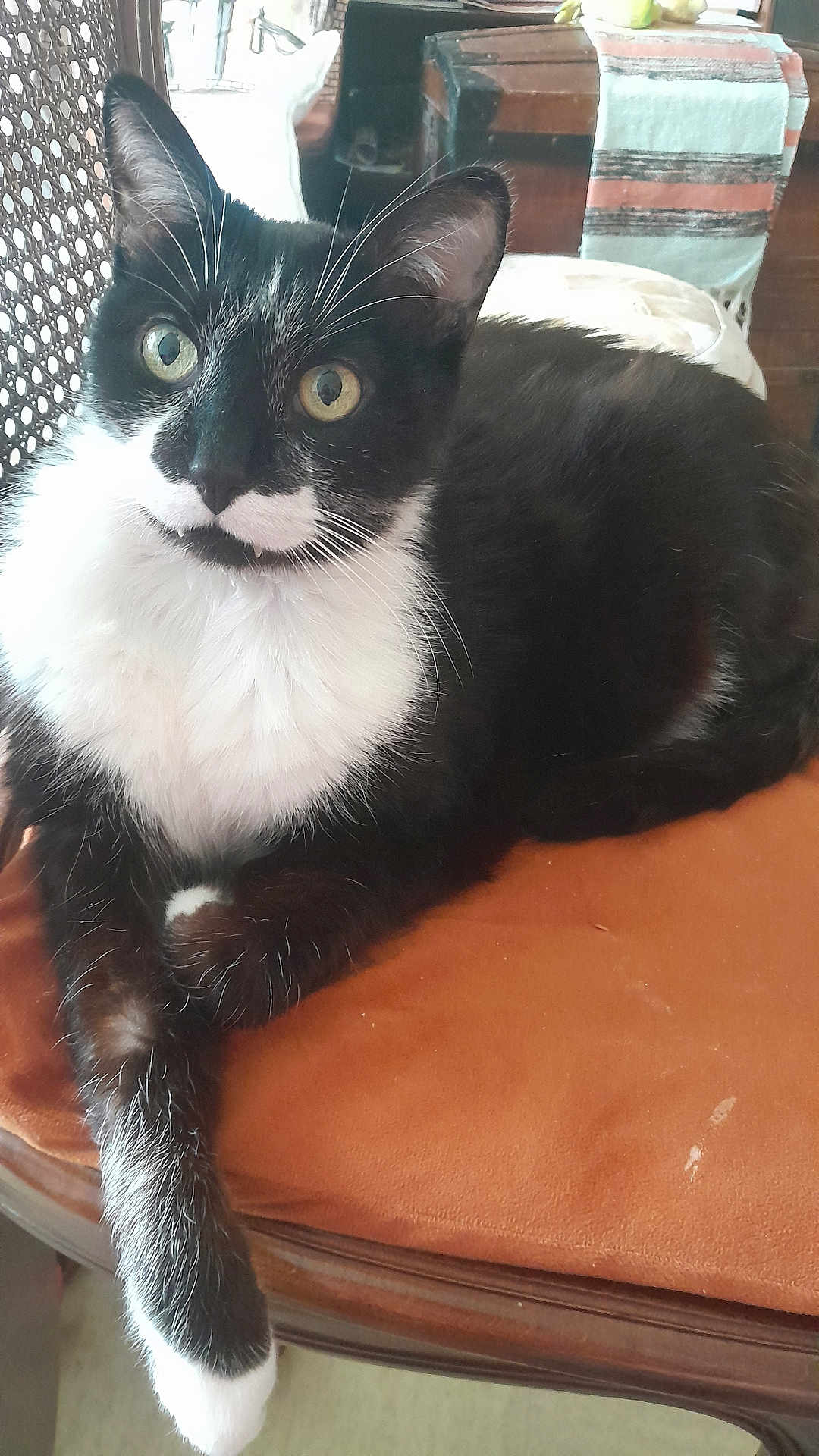 Joseph