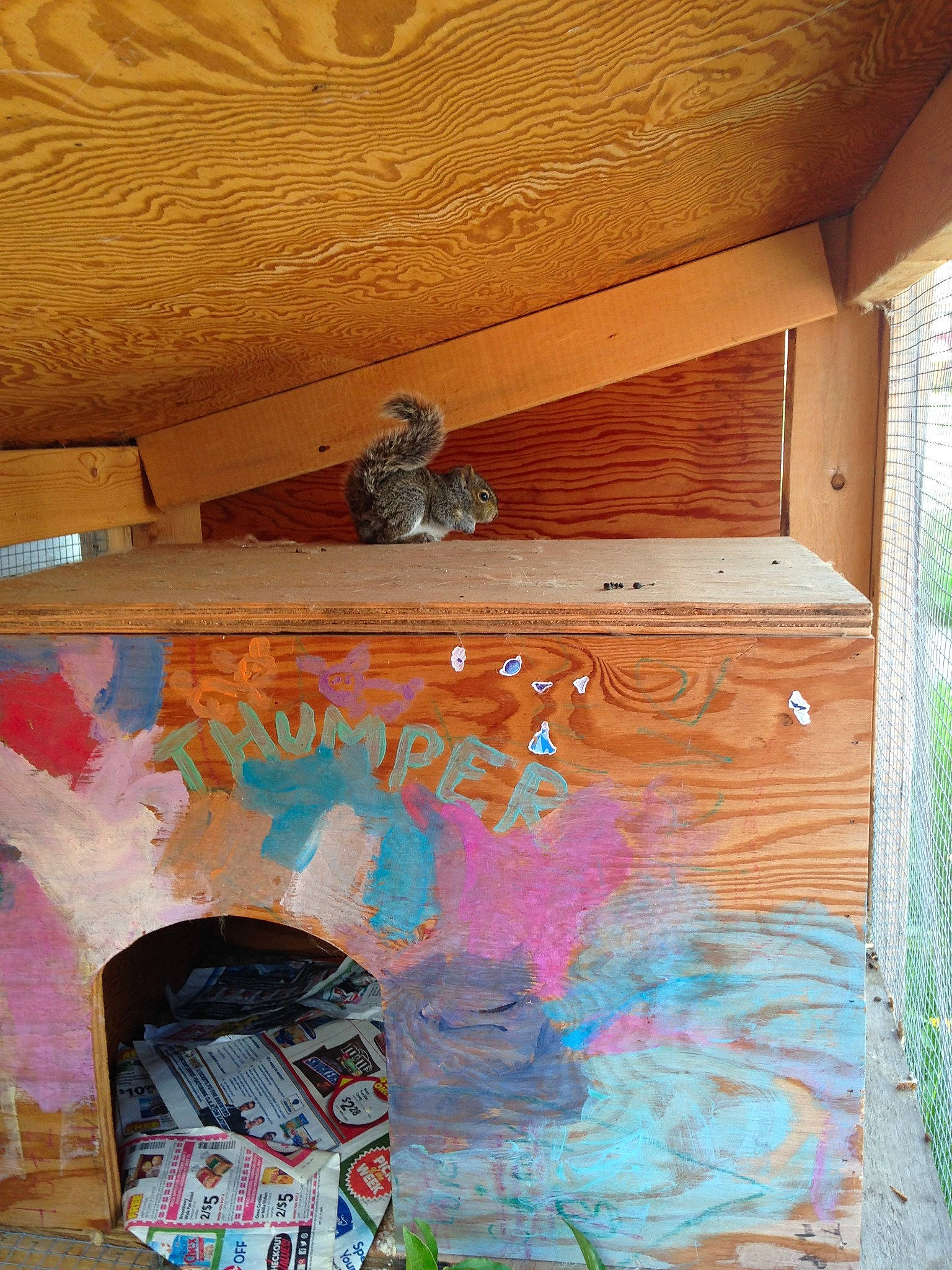 Acorn is registered to the contest to win money with this photo: art, beam, ceiling, furniture, house, paint, room, shelf, wall, wood, wood_stain