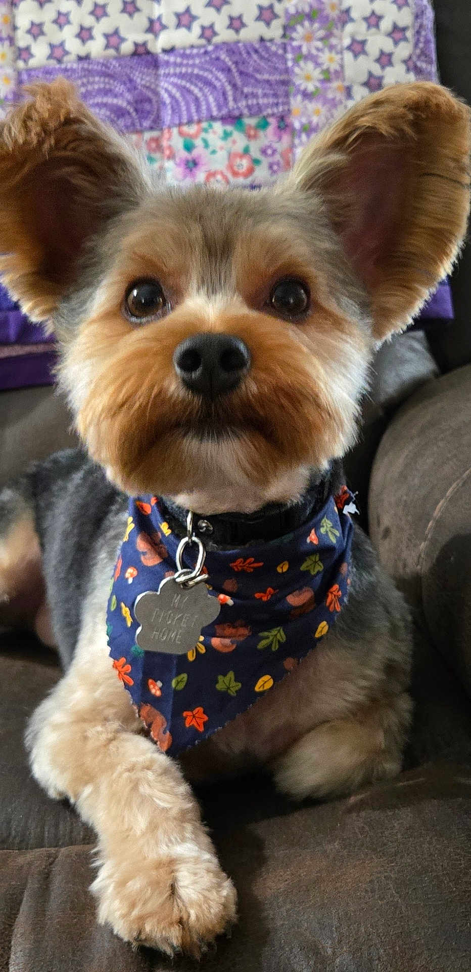 Shiloh