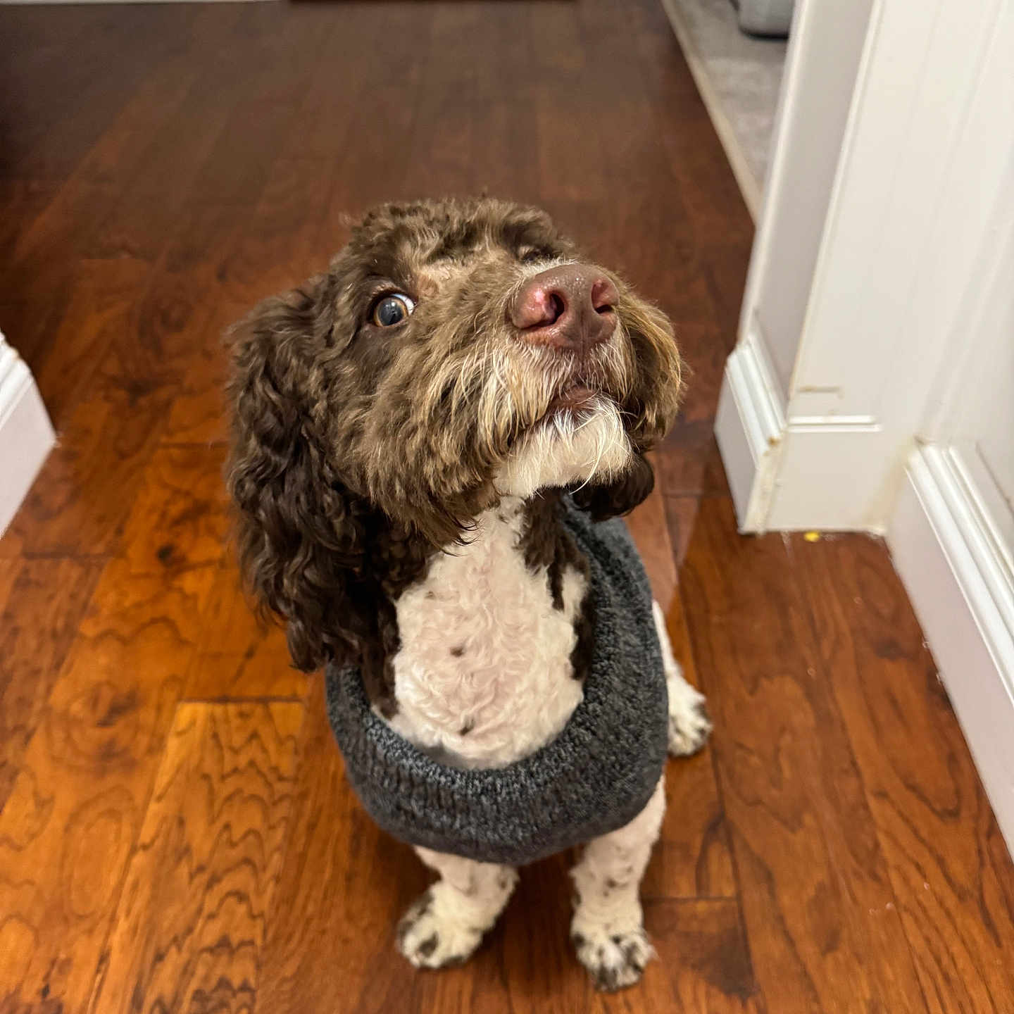 Oscar