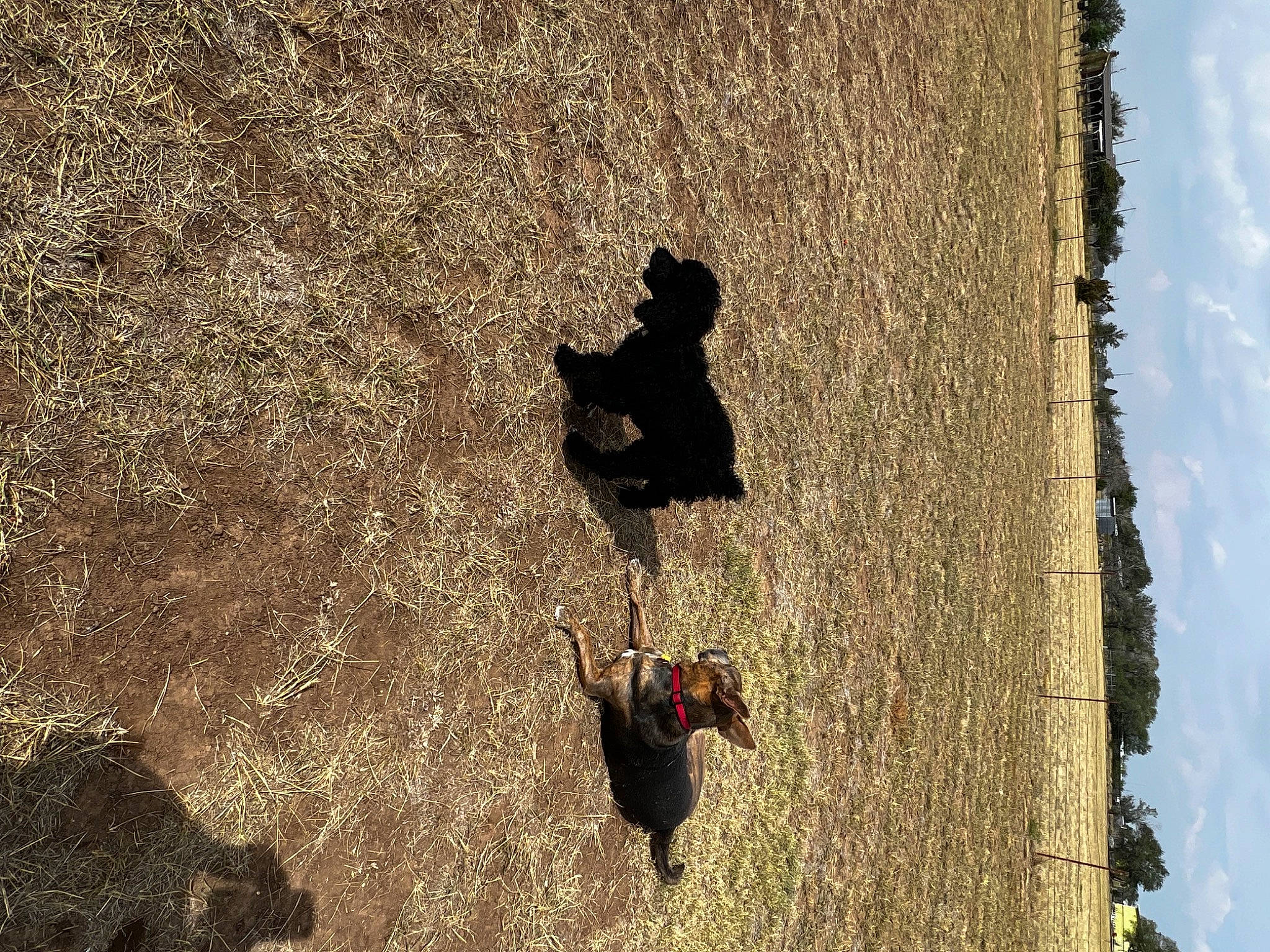 Ellie May joined the competition — help win amazing prizes! adventure, climbing, extreme_sport, formation, grass, happy, landscape, leisure, people_in_nature, plant, recreation, rock_climbing_equipment, sky, slope, sport_climbing, sports, tints_and_shades, tree, trunk, wood