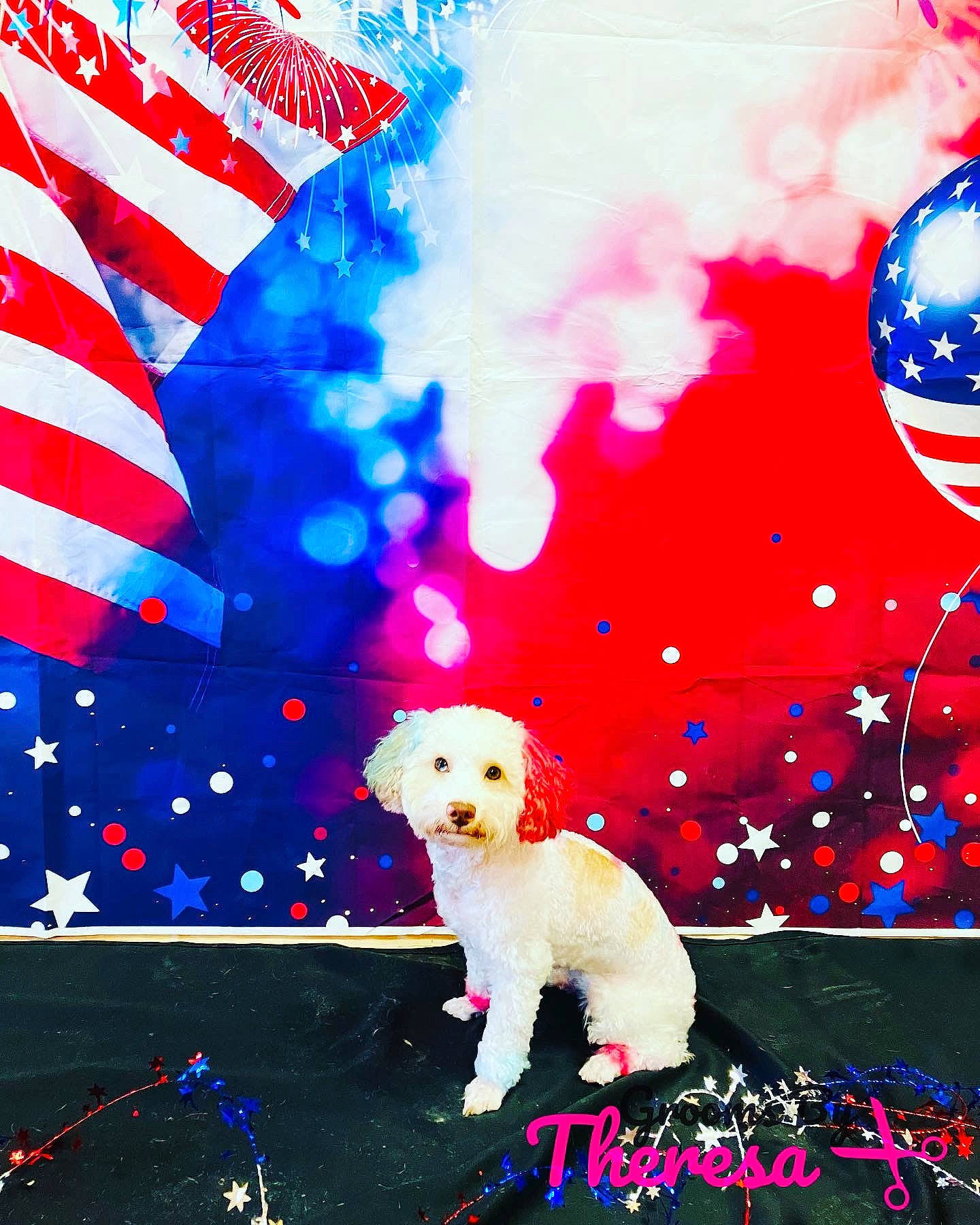 Cookie joined the competition — help win amazing prizes! art, carnivore, christmas, christmas_eve, companion_dog, dog, event, flag_of_the_united_states, font, graphics, greeting, greeting_card, happy, holiday, illustration, people_in_nature, photo_caption, rectangle, red, sky