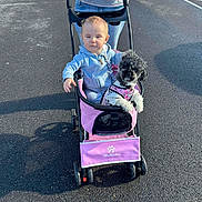Ella-Shae is registered to the contest to win money with this photo: asphalt, baby, casual_clothing, child, cute, daytime, dog, expression, harness, leash, outdoor, parking_lot, pavement, person, pet, pink, small_dog, stroller, sunlight, wheel