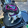dog, small_dog, goggles, pink_goggles, motorcycle, motorcycle_seat, outdoor, sunny, white_outfit, pet_clothing, curly_fur, black_and_white_fur, sitting, reflection, concrete, leather_seat, helmet_holder, leash, casual, cute
