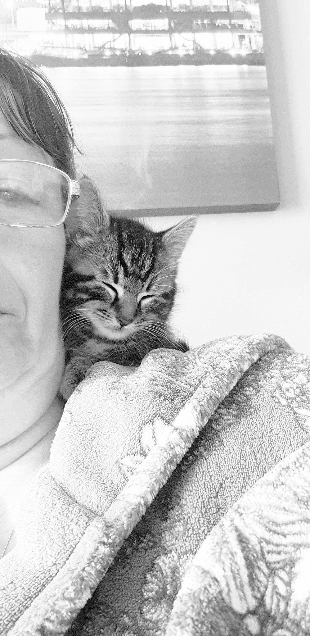 Simba is registered to the contest to win money with this photo: asian, black_and_white, carnivore, cat, domestic_short_haired_cat, dragon_li, ear, european_shorthair, felidae, fur, kitten, monochrome, monochrome_photography, small_to_medium_sized_cats, style, tabby_cat, whiskers, white