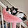 Callie And Polly