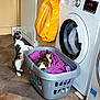 black, calico_cat, cat, curious, domestic_animal, floor, home, household_appliance, indoor, laundry_basket, laundry_room, orange, pet, plastic_basket, resting_cat, standing_cat, tile_floor, towel, washing_machine, white