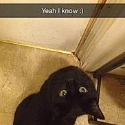 Ebon is registered to the contest to win money with this photo: