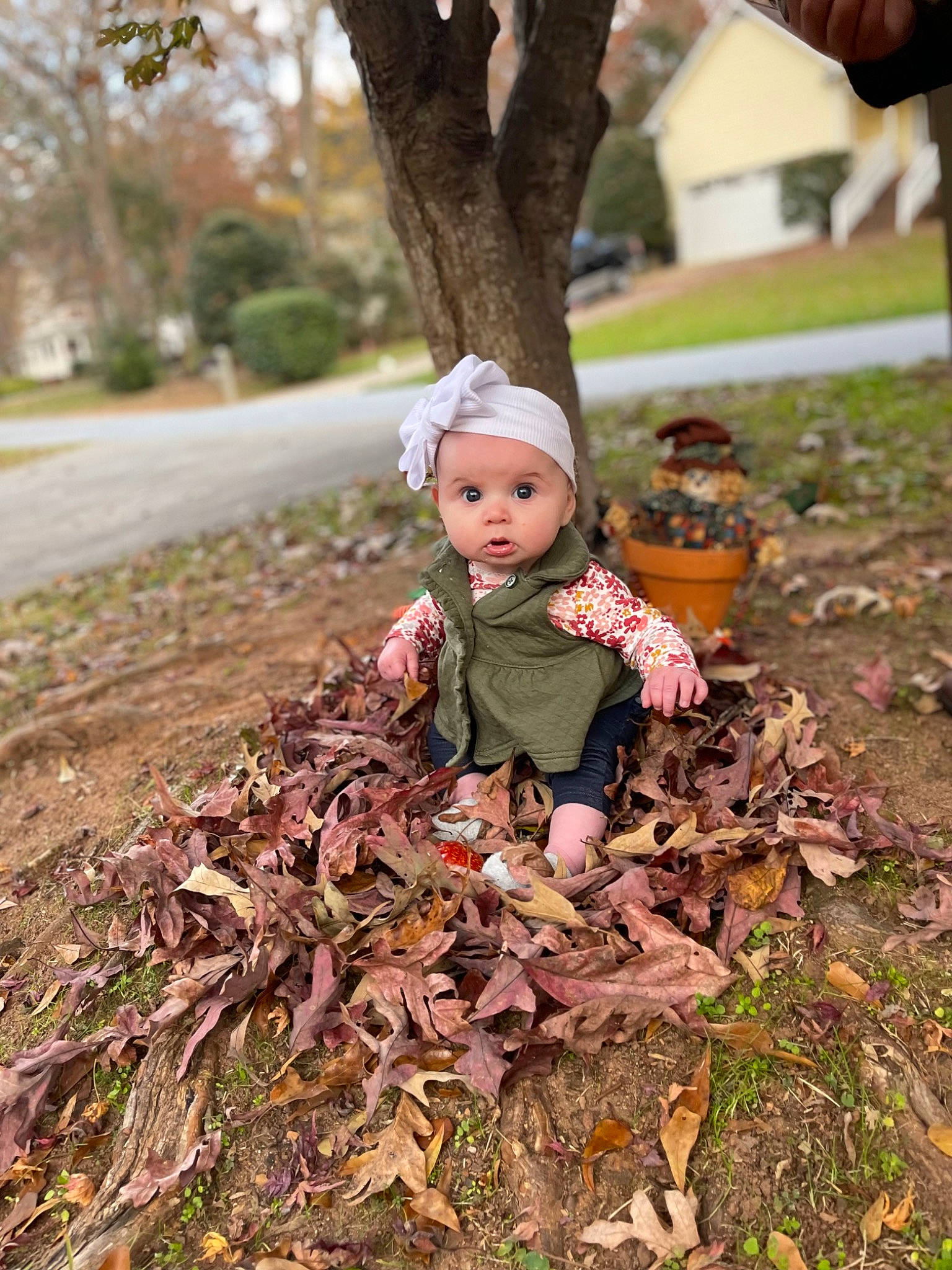 Aleia joined the competition — help win amazing prizes! baby, branch, brown, child, deciduous, doll, forest, grass, headwear, landscape, leaf, people_in_nature, person, plant, soil, surprise, toddler, toy, tree, trunk