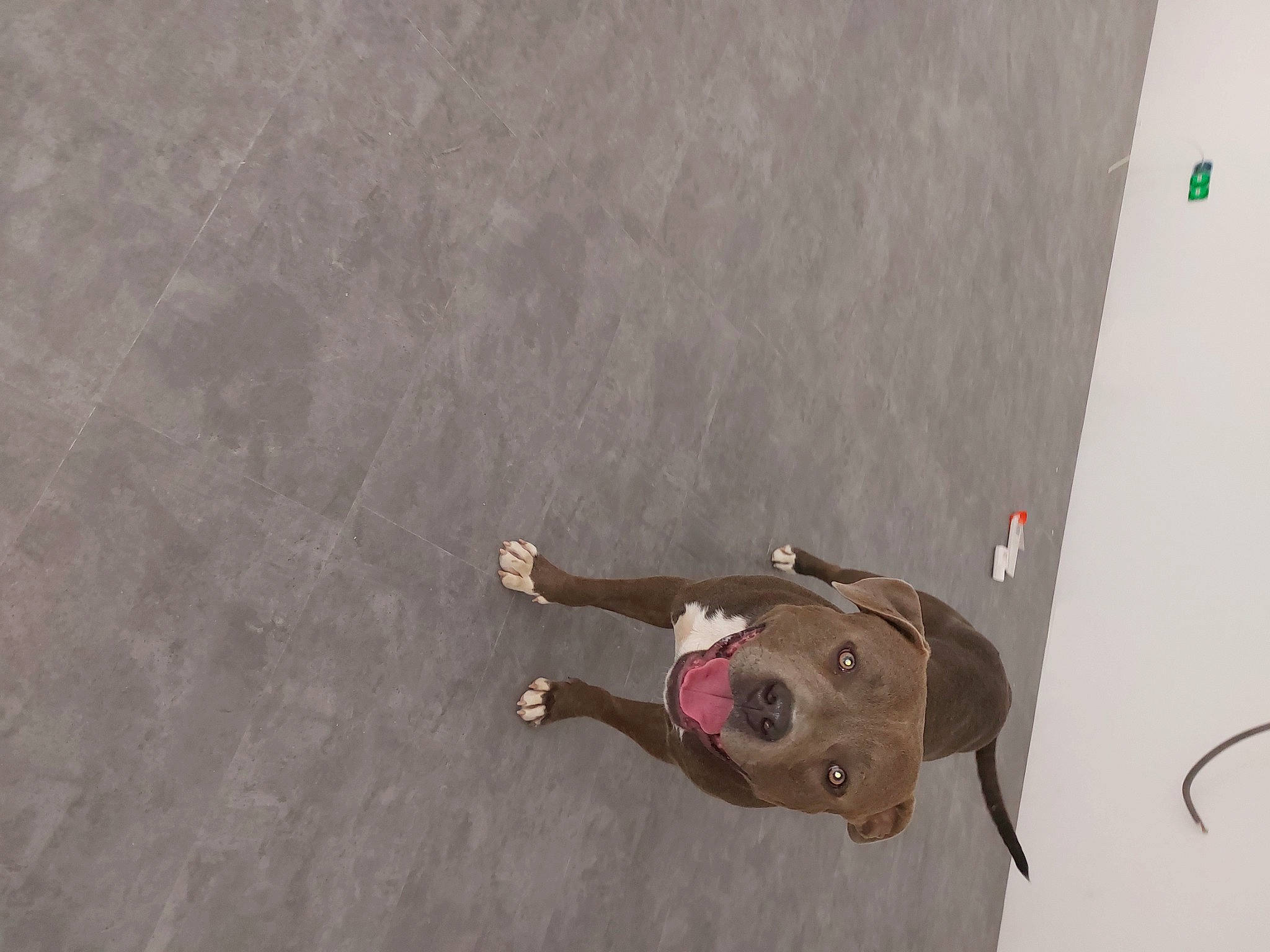 Saïko participe au concours pour gagner de l'argent avec cette photo : adventure, ceiling, circle, concrete, flooring, hardwood, plaster, plywood, recreation, visual_arts, wood