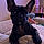 Arwen