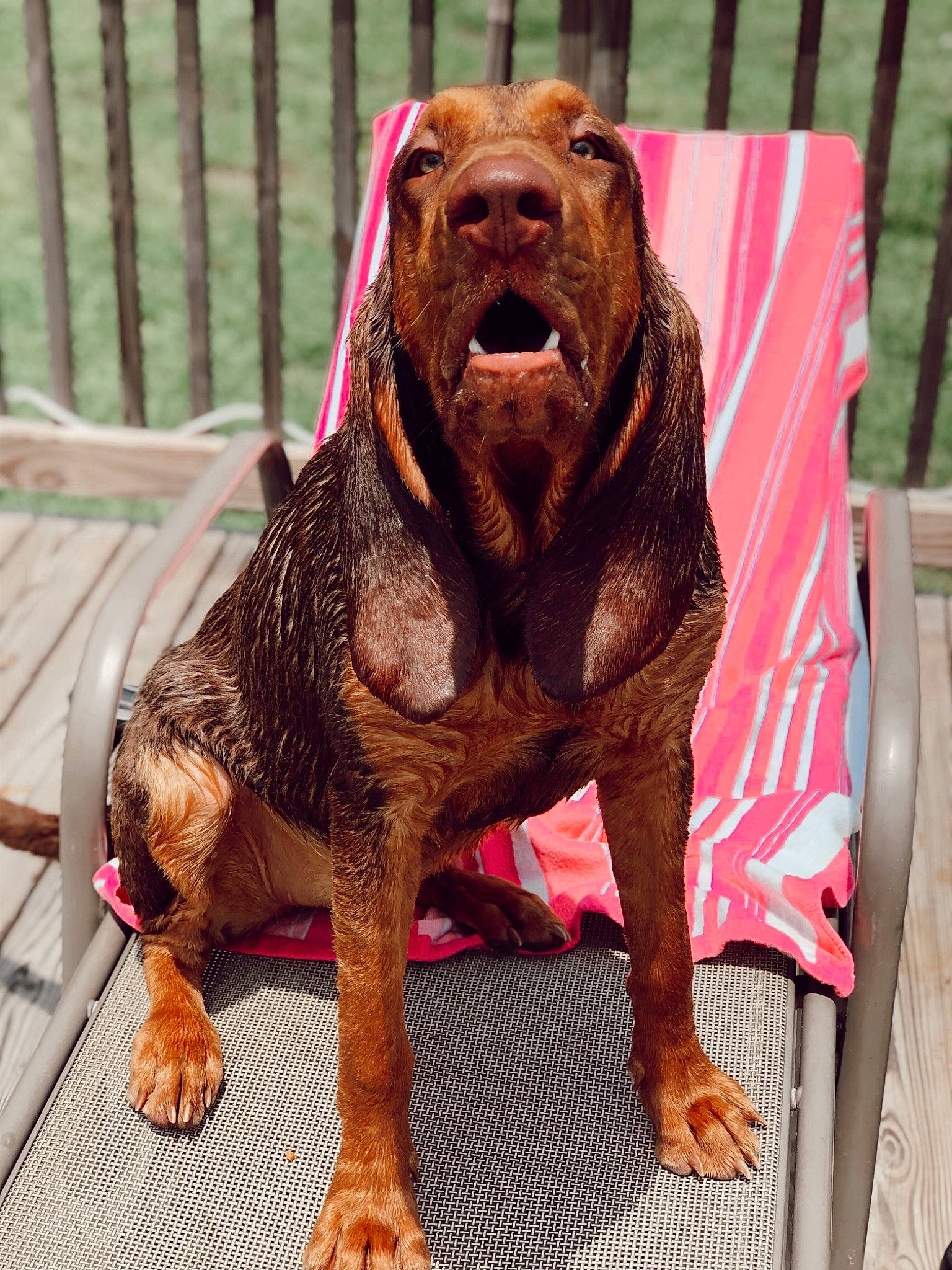 Maybelle