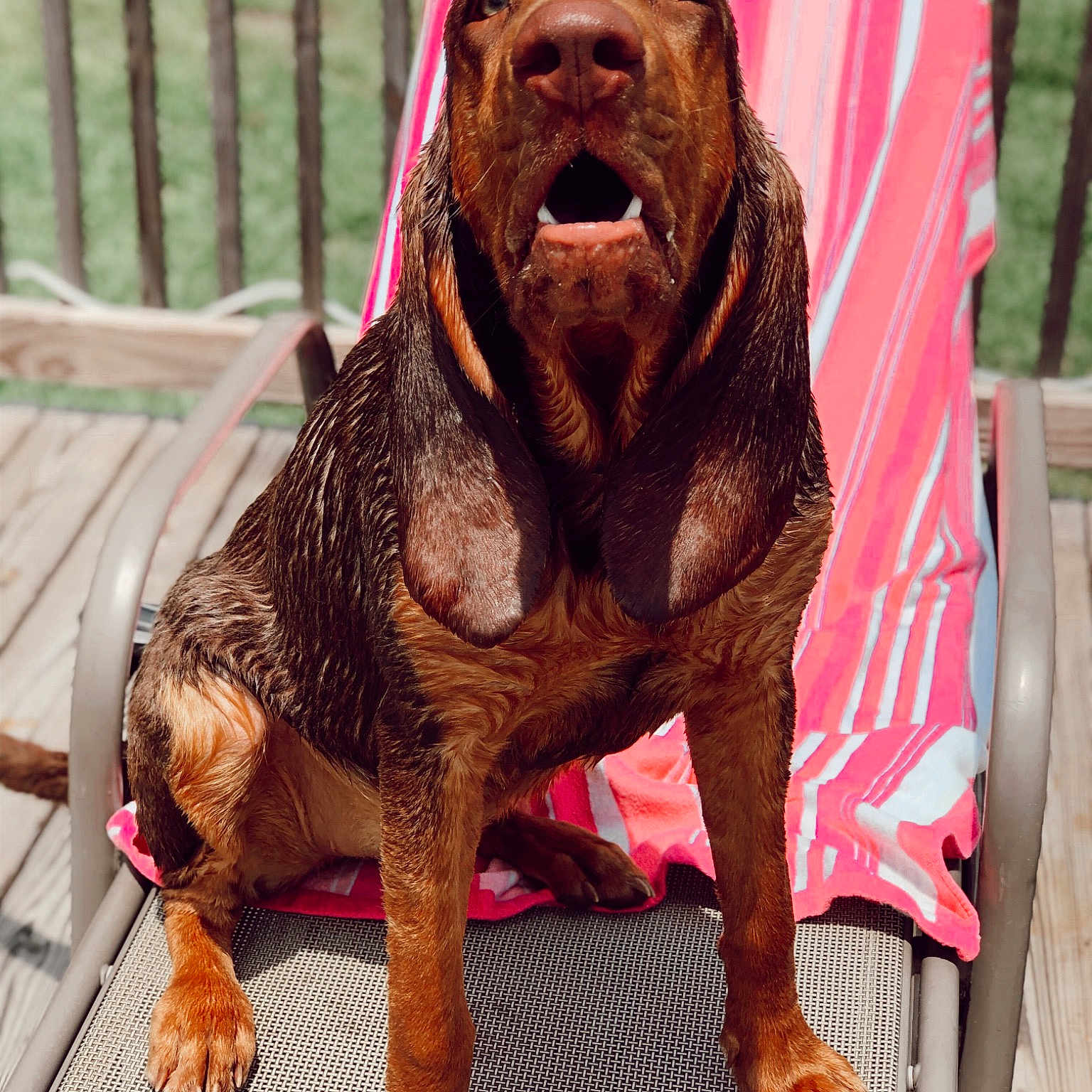 Maybelle