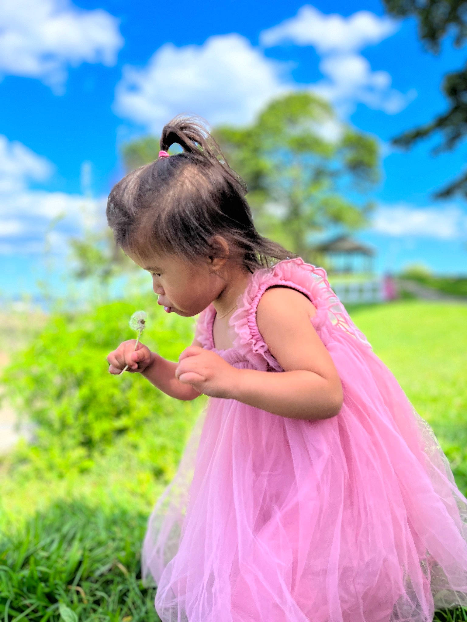 Peyton is registered to the contest to win money with this photo: baby, baby_toddler_clothing, blue, cloud, day_dress, dress, fun, grass, grassland, green, happy, leisure, magenta, meadow, people_in_nature, person, pink, plant, recreation, sky
