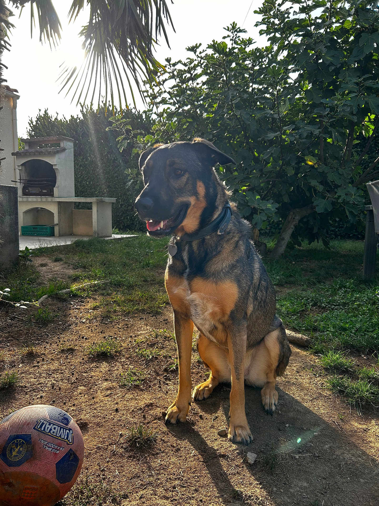 Rixie