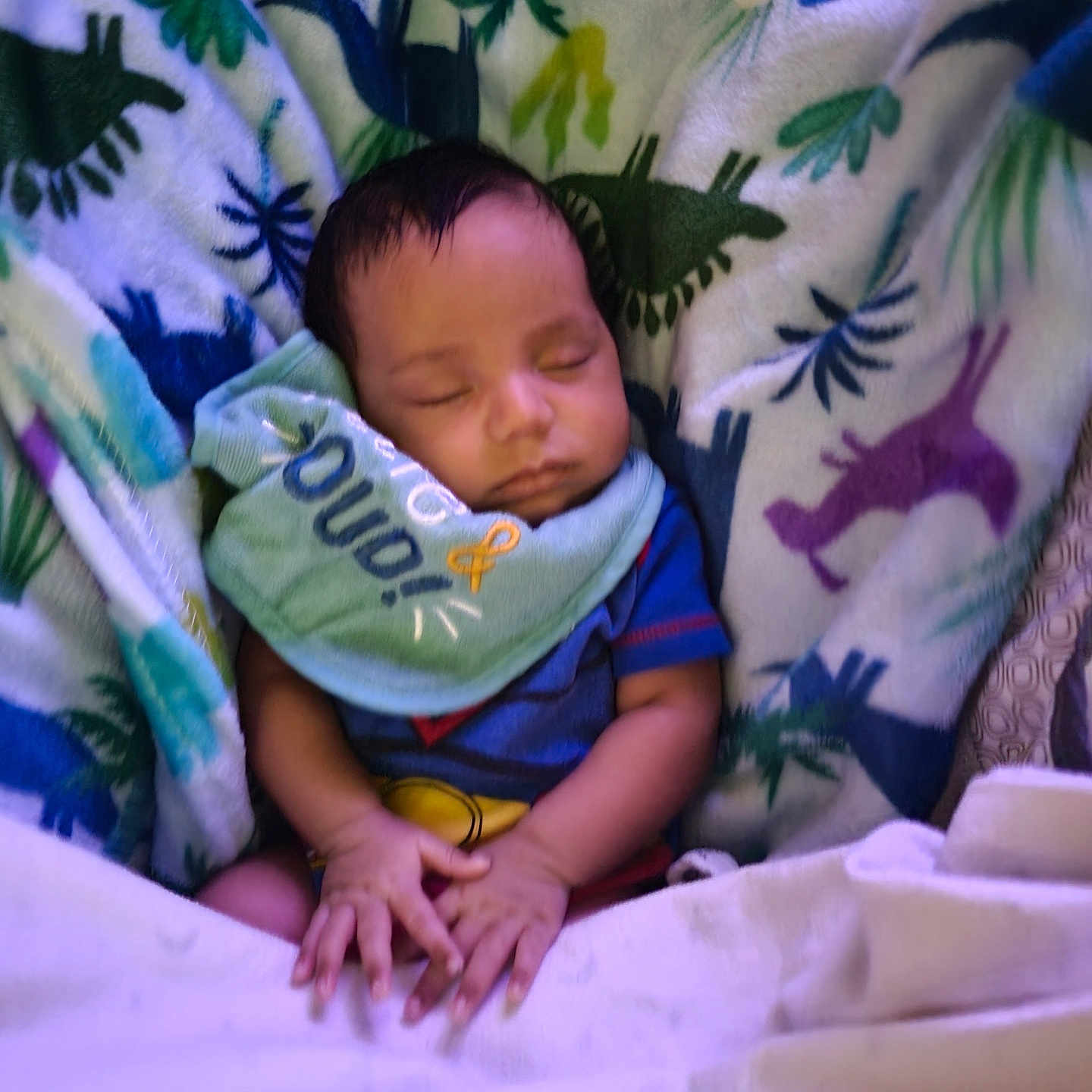 Caesar joined the competition — help win amazing prizes! baby, bib, blanket, child, clothing, colorful, cozy, cute, dinosaur_pattern, face, hands, indoor, infant, peaceful, portrait, resting, sleeping, soft_texture, toddler, young