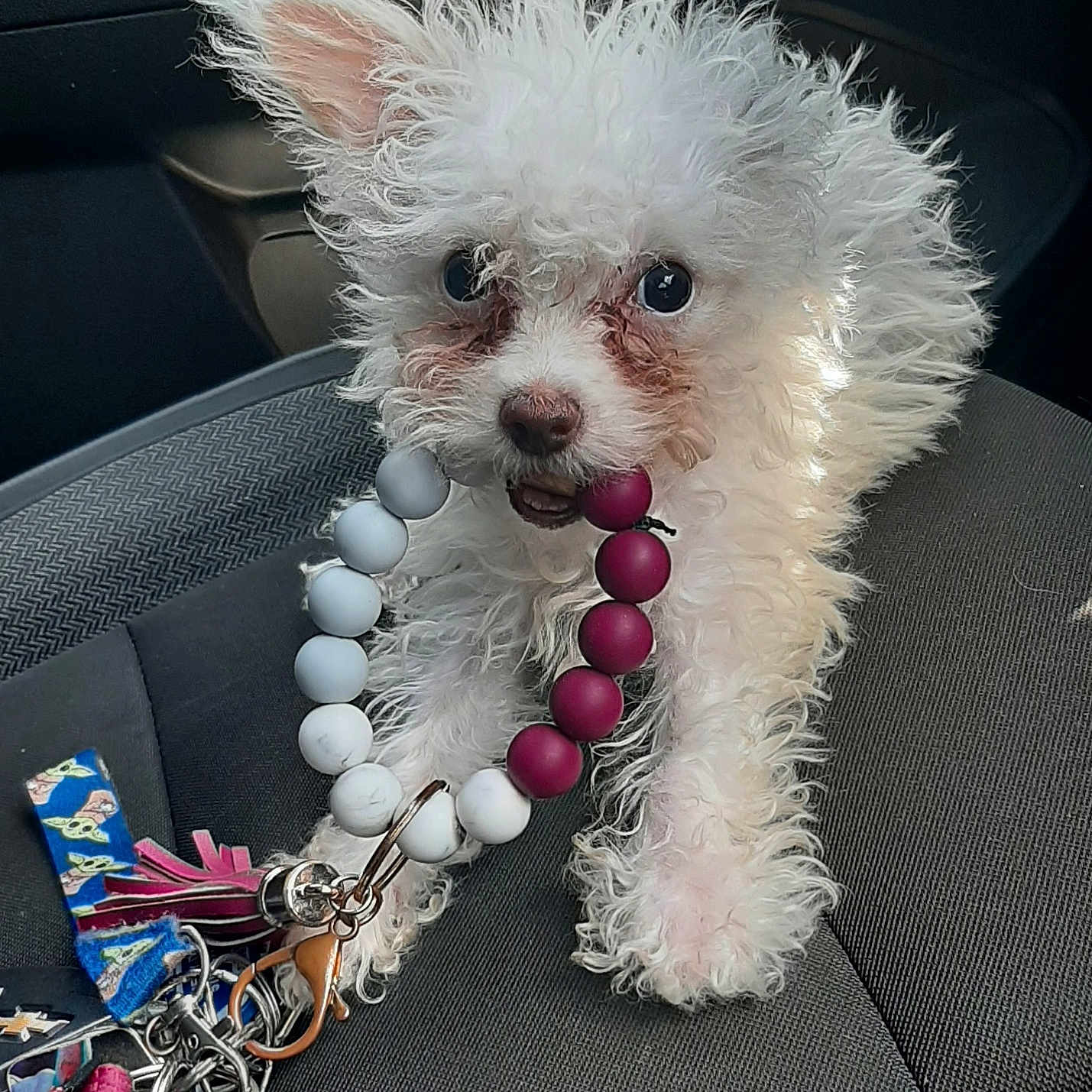 Pebbles