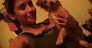 Layla Lozano joined the competition — help win amazing prizes! animal, background_objects, blurred, brown_hair, casual_clothing, companion, cute, dog, face, hand, holding, indoor, looking_at_camera, person, pet, portrait, selfie, small_dog, warm_lighting, woman
